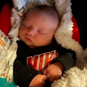 Meet your Posher, Dolly